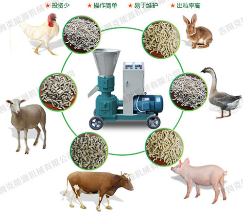 小型飼料顆粒機可壓制各種動物顆粒飼料 屬多功能飼料顆粒機
